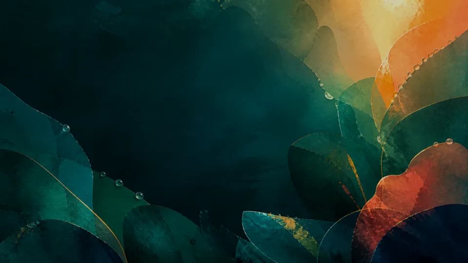 Solar Canopy original premium wallpaper preview